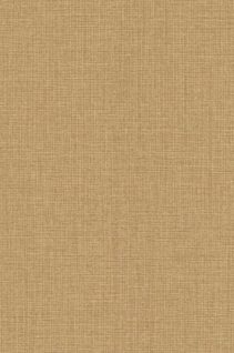 Newmor – Shoreline SHO-01